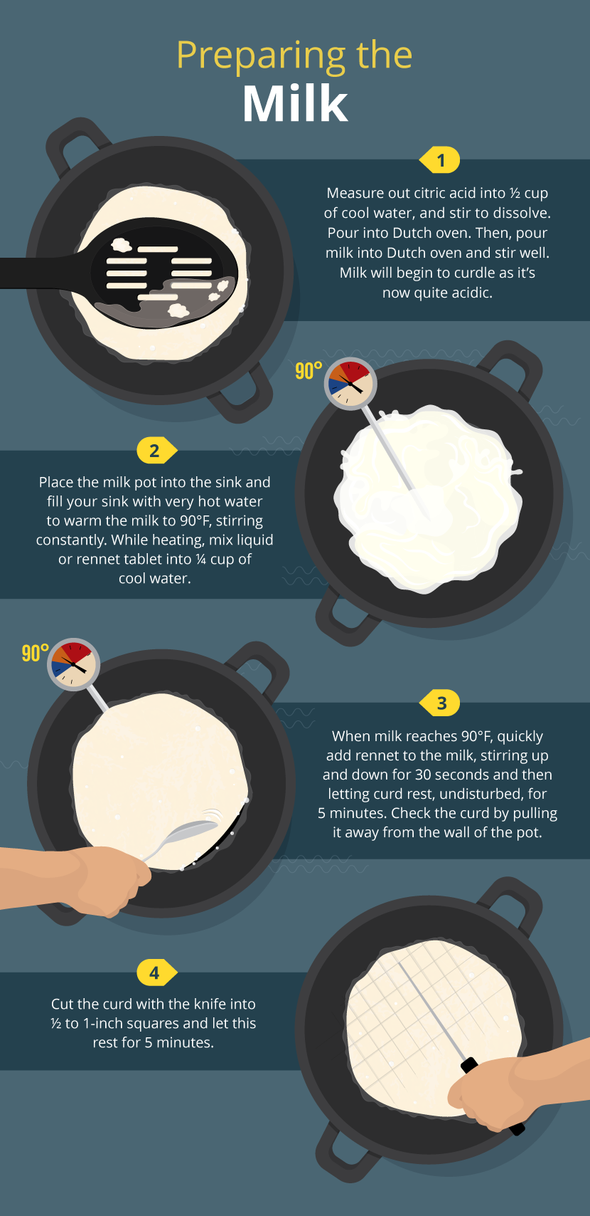 Preparing The Milk - Mozzarella Made Easy